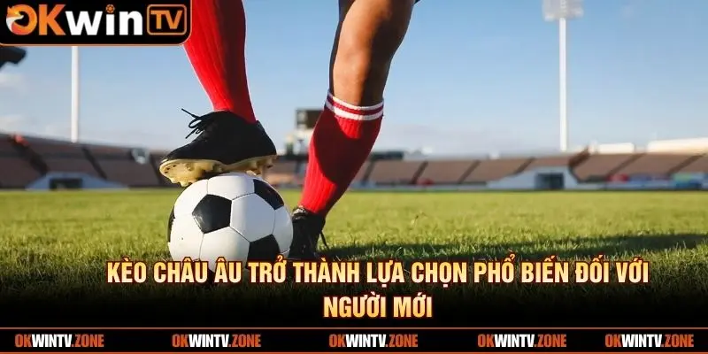 Kèo châu âu trở thành lựa chọn phổ biến đối với người mới